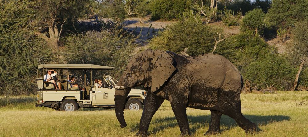Elephant Game Drive at Leroo Le Tau - Image 4