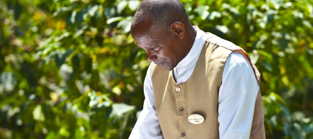 Garden breakfast at Arusha Coffee Lodge, Arusha, Tanzania - Image 4