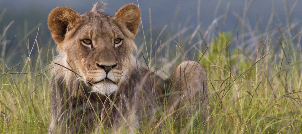 Kariega Settler's Drift - Image 4