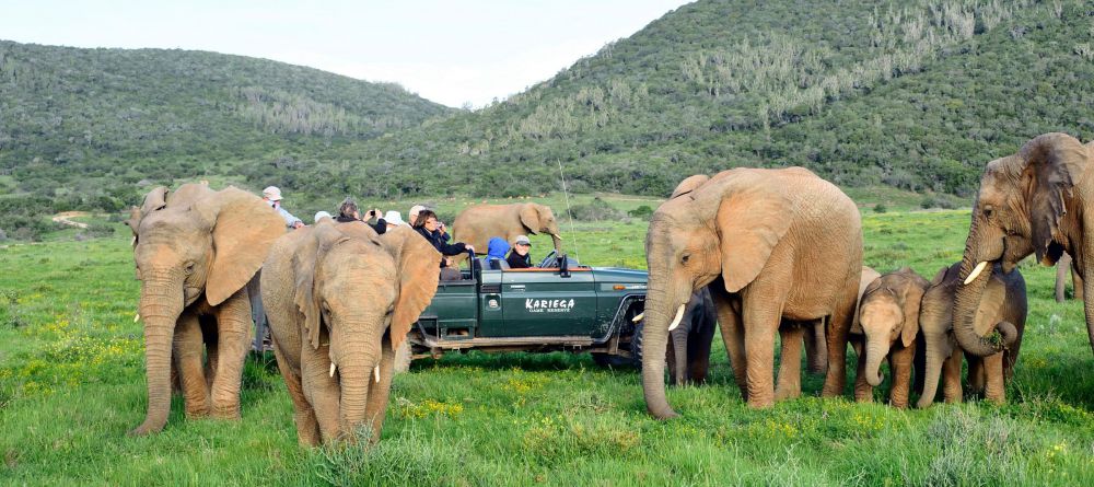 Kariega Ukhozi Lodge, Kariega Game Reserve, South Africa - Image 3
