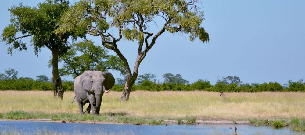 Ghoha Hills Savuti Lodge - Image 1