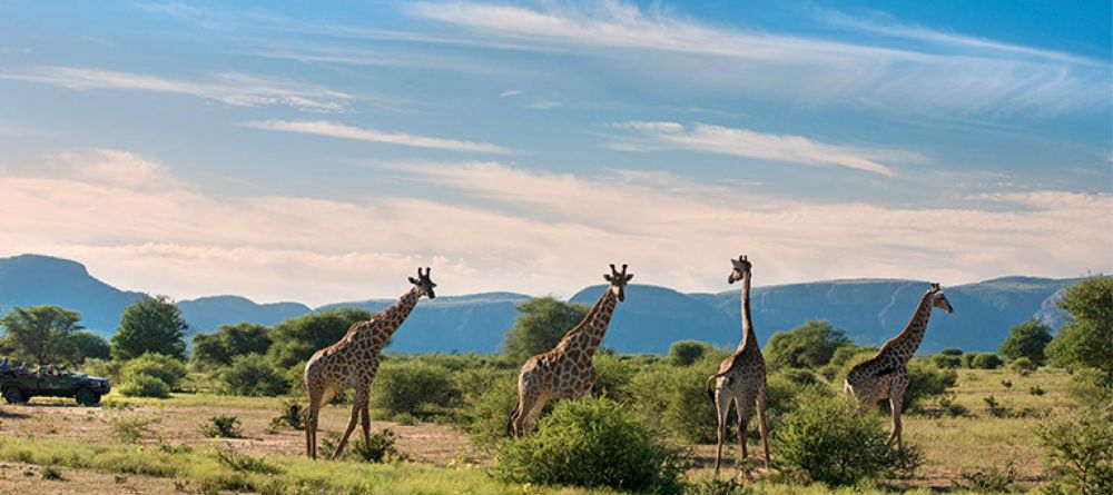 Marataba Safari Lodge, Marataba Game Reserve, South Africa - Image 5
