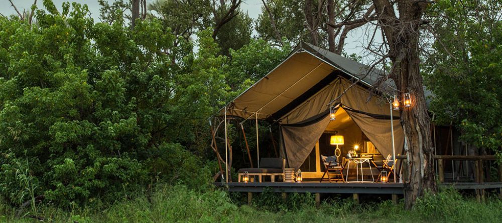 Gomoti Plains Camp - Image 7