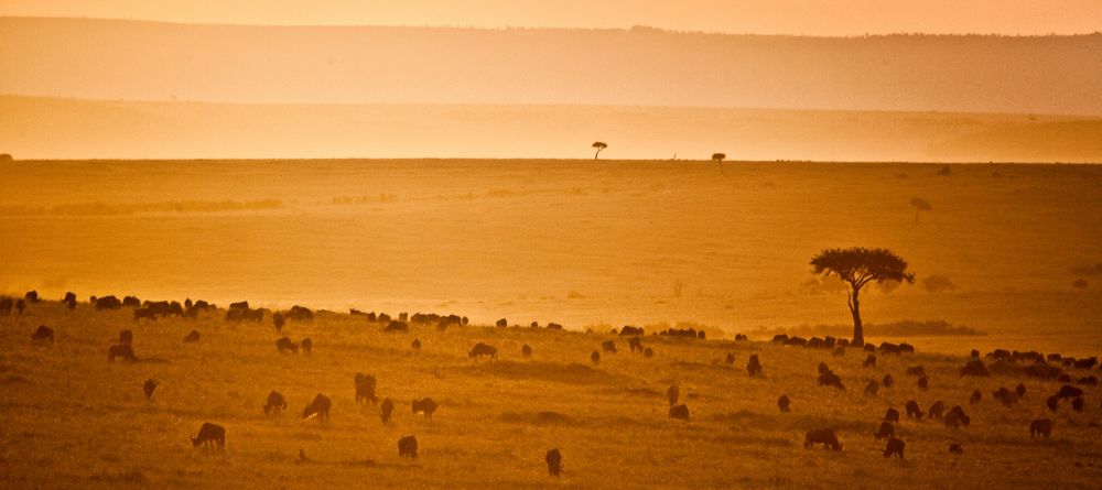 Gorgeous plains from Sala's Camp - Image 1