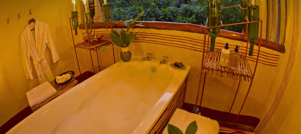 Gorilla Forest Camp, Bwindi Impenetrable Forest, Uganda - Image 3