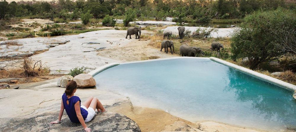 The granite pool overlooking the passing wildlife at Londolozi Granite Suites, Sabi Sands Game Reserve, South Africa - Image 7