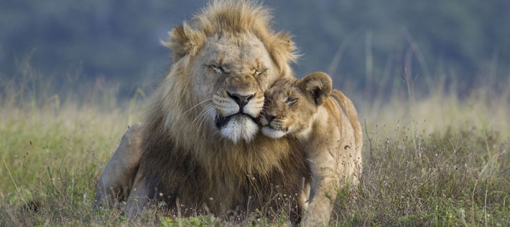 Kariega Main Lodge, Kariega Game Reserve, South Africa - Image 4