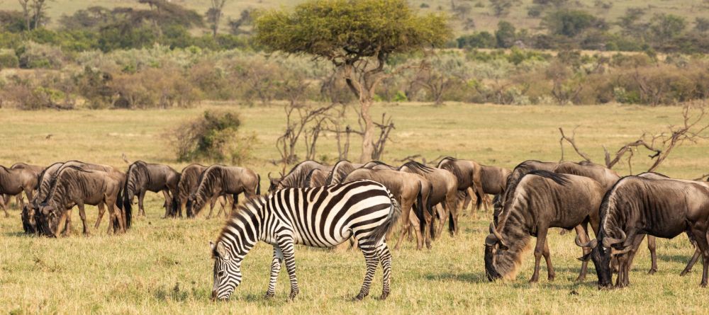 Mara Nyika  - Image 16