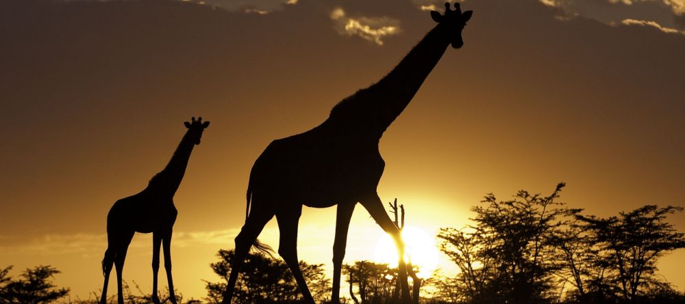 Mara Expedition Camp - Image 7