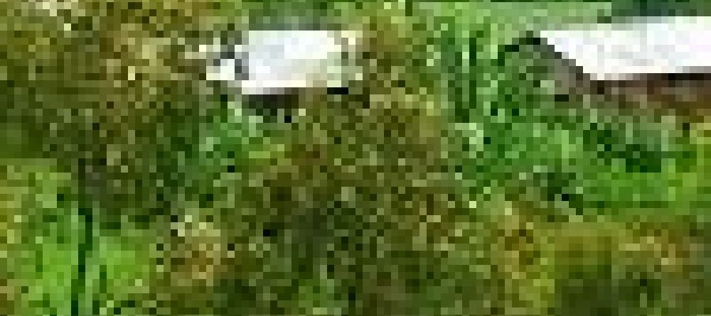 Fanta Vision Hotel, Sodo, Ethiopia - Image 4