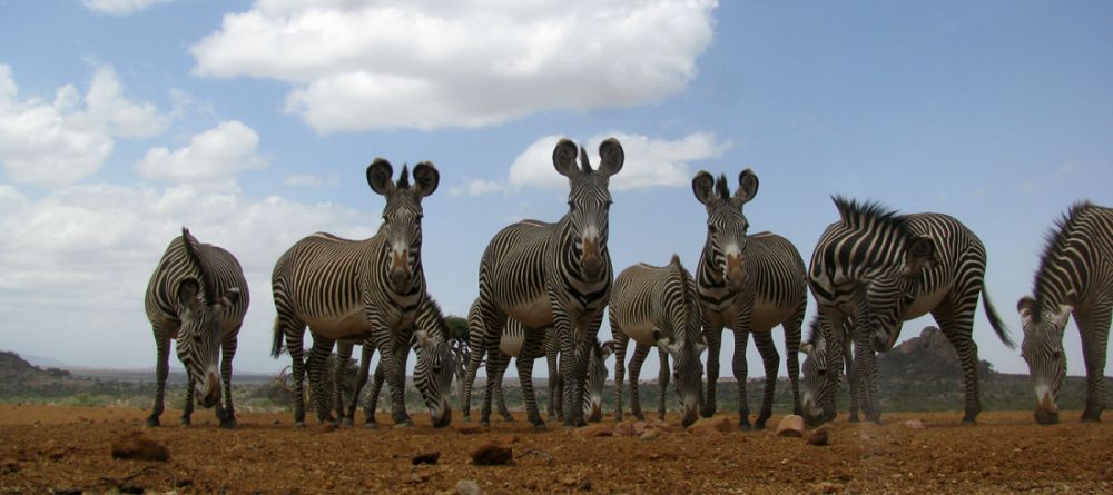 Tumaren Karisia Satellite Camp, Laikipia Plateau, Kenya - Image 4