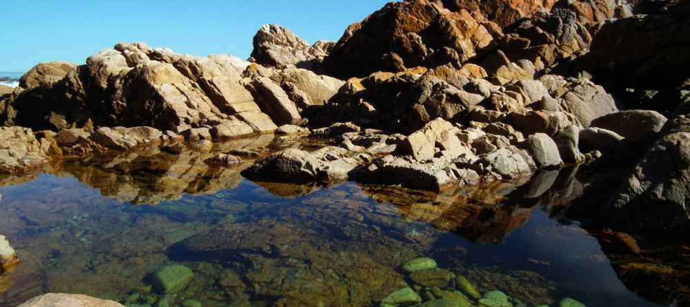 The Harkerville Hiking Trail, Garden Route, South Africa - Image 8