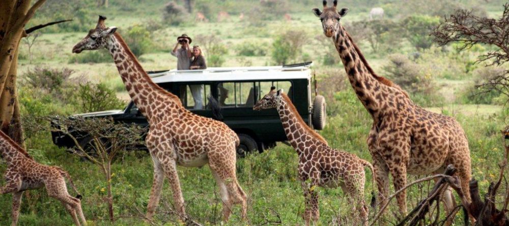 Hemingways Ol Seki Mara Camp, Masai Mara National Reserve, Kenya - Image 3
