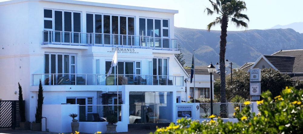 Hermanus Guest House - photo from Hermanus Guest House - Image 3