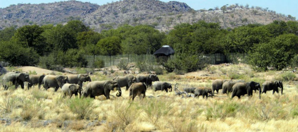Hobatere Lodge - Image 1