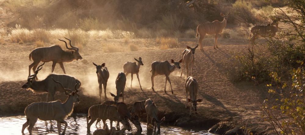 Hobatere Lodge - Image 3