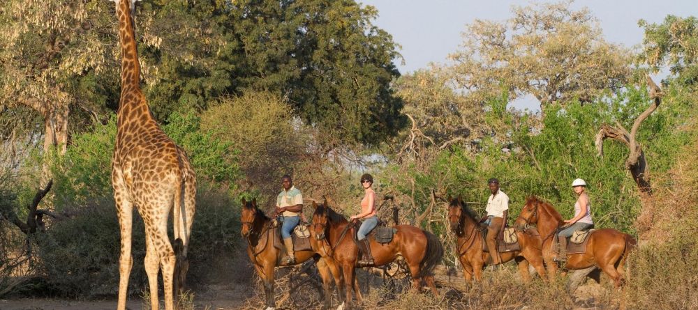 Mashatu Lodge, Mashatu Game Reserve, Botswana - Image 33