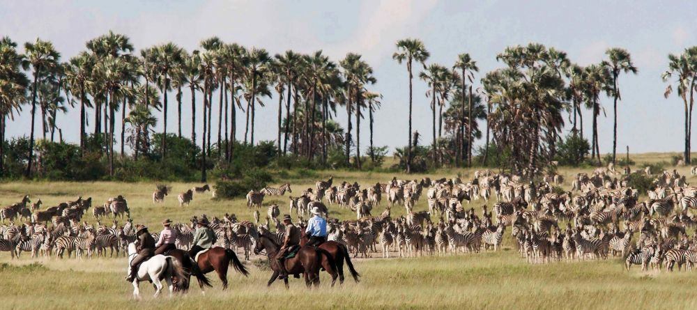 Jacks Camp, Kalahari Desert, Botswana - Image 17