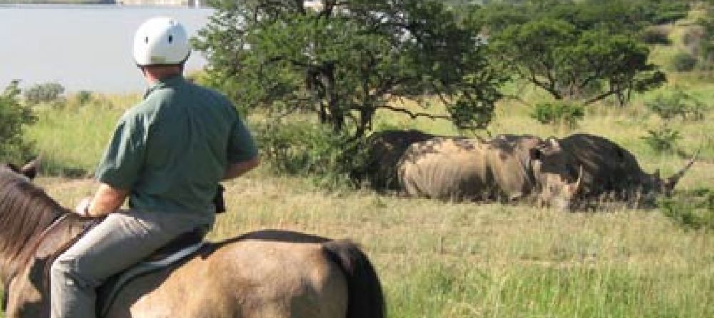 Horseback Riding - Image 2