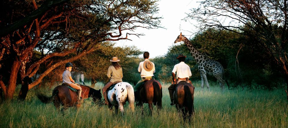 Royal Tree Lodge, Maun, Botswana - Image 5