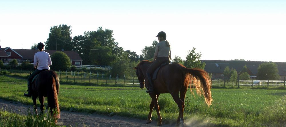 Horse riding at Franschhoek Country House, Franschhoek, South Africa - Image 8