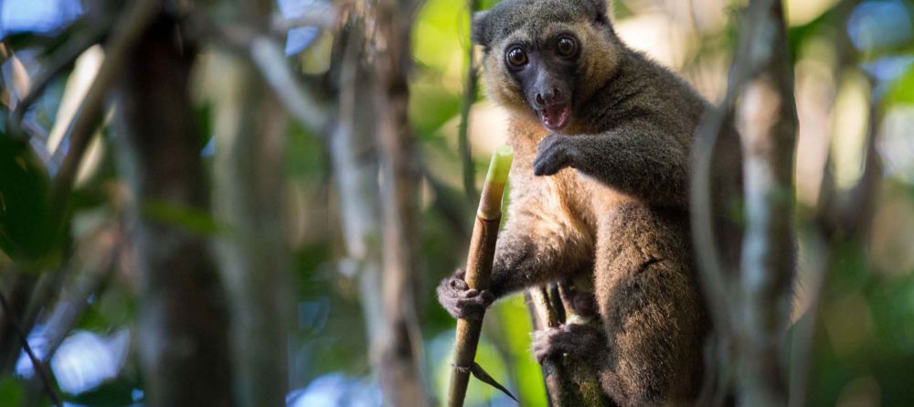 Hotel Thermal - Image 1