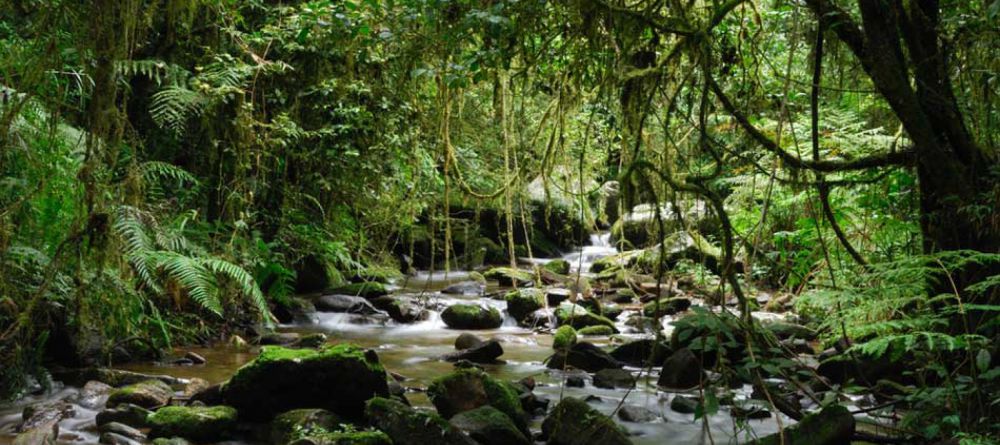 Hotel Thermal - Image 4