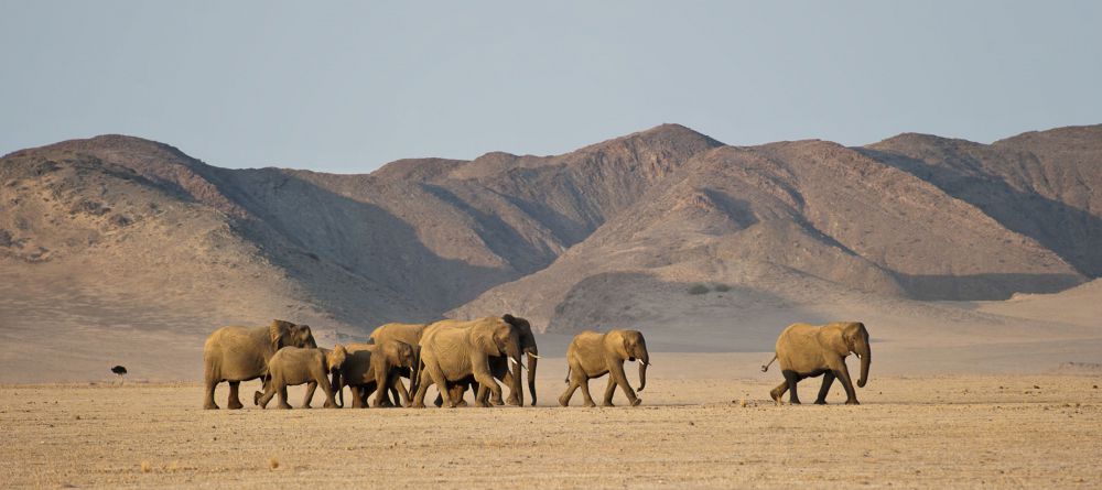 Huab Under Canvas - Image 2