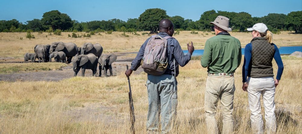 Little Makalolo, Hwange National Park, Zimbabwe - Image 4