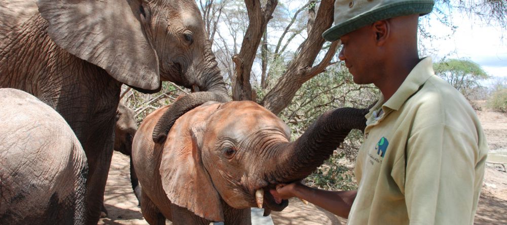 Ithumba Camp - Image 5