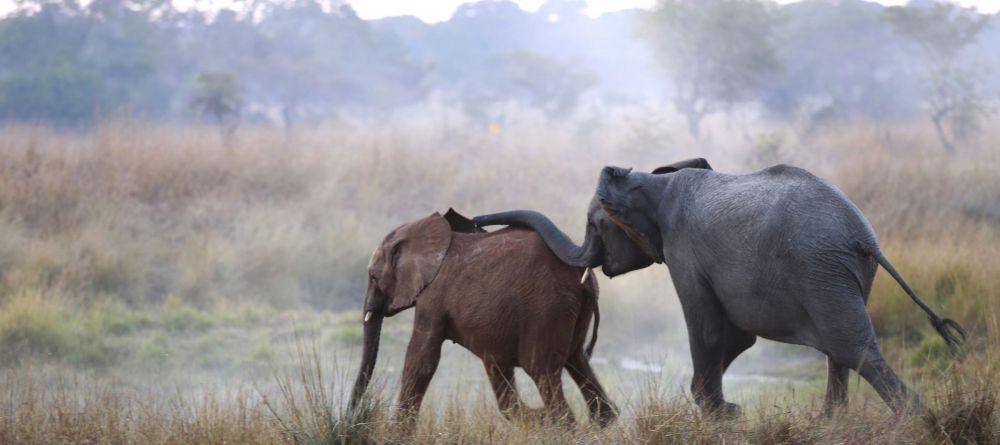 Lilayi Lodge, Lusaka, Zambia - Image 6