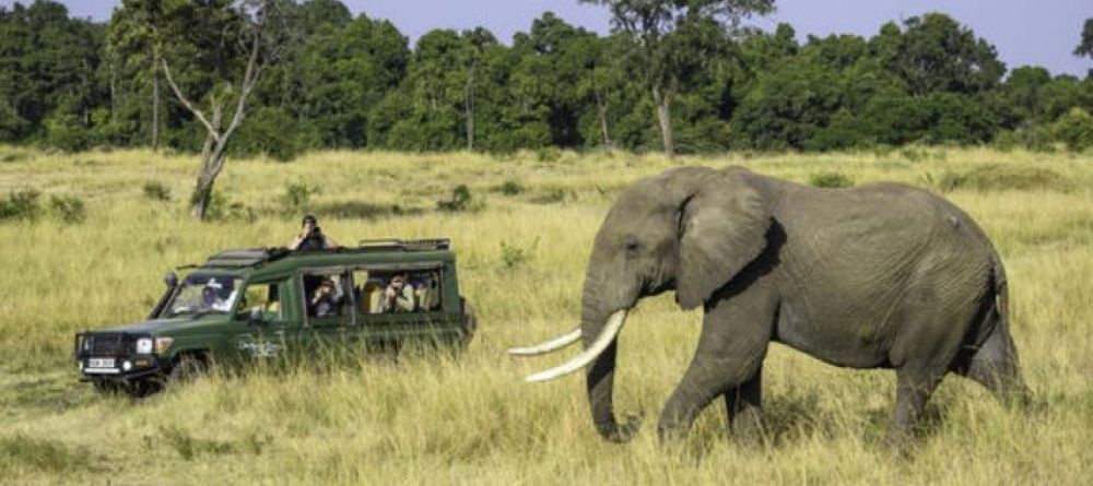 Il Moran safari - Image 2
