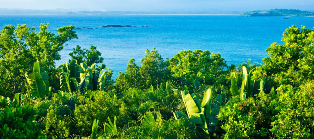 Masoala Forest Lodge, Masoala National Park, Madagascar - Image 8