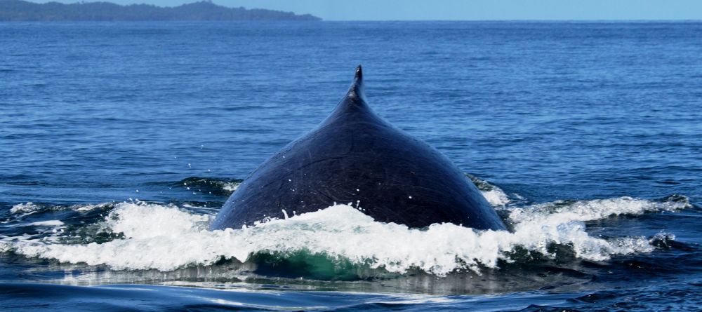 Masoala Forest Lodge, Masoala National Park, Madagascar - Image 19