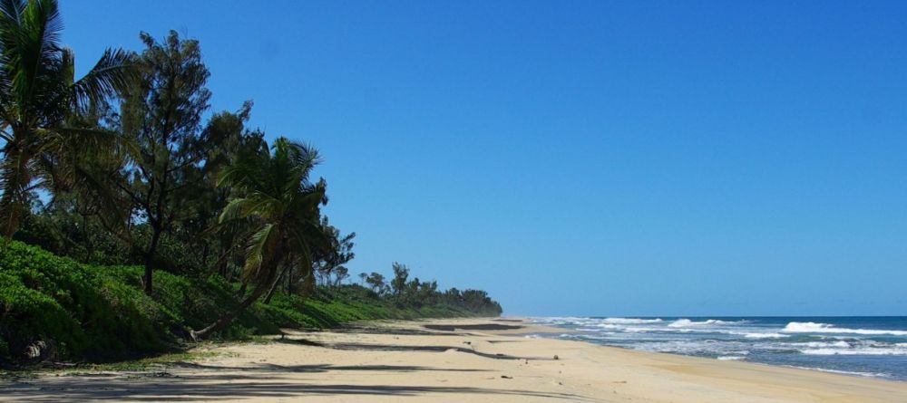 Bush House, Palmarium, Madagascar - Image 2