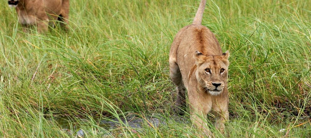 Zungulila Bushcamp, South Luangwa National Park, Zambia - Image 11