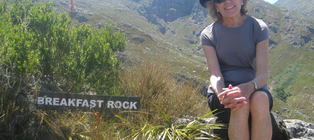 Gamba in Stellenbosch - Image 4