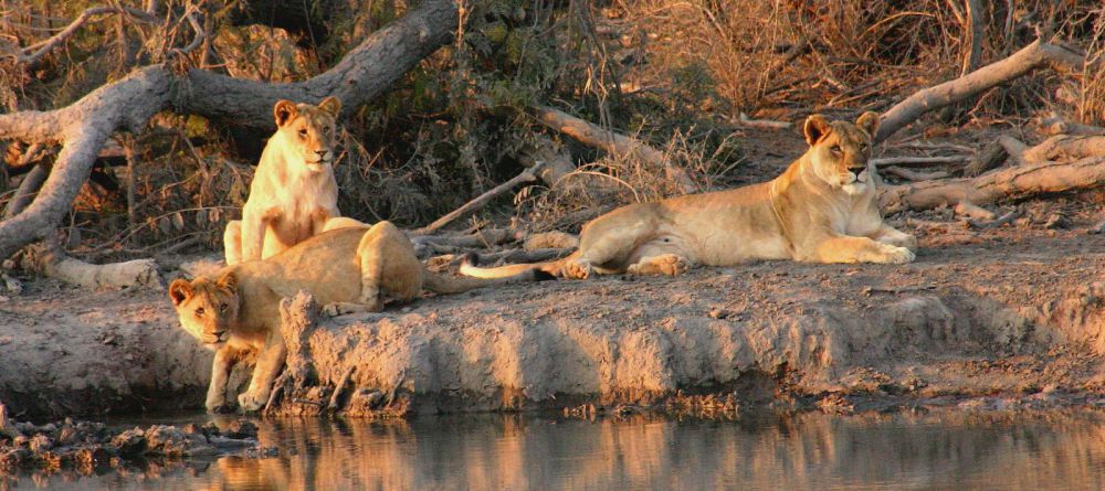Jamala Madikwe, Madikwe Game Reserve, South Africa - Image 6