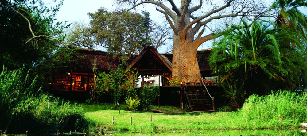 Main complex at Impalila Island Lodge, Caprivi Strip, Namibia - Image 3