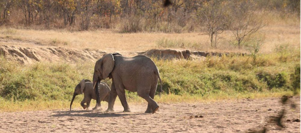 Jongamero Camp - Image 6