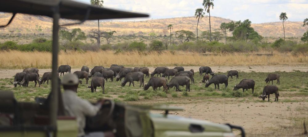 Jabali Ridge - Image 8