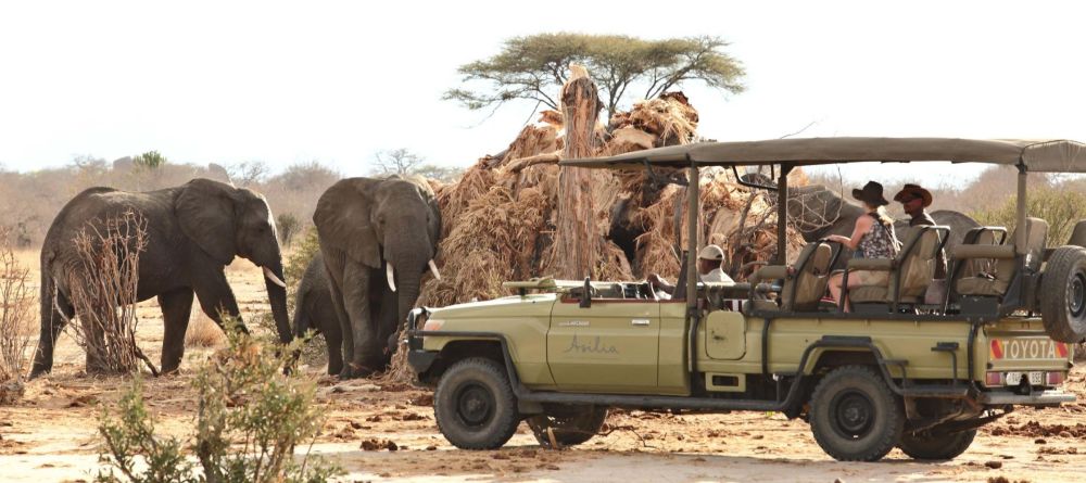 Jabali Ridge - Image 7