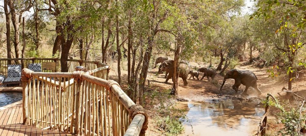 Jaci's Safari Lodge - Image 4