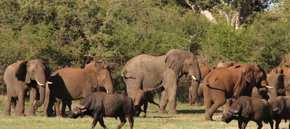 Jamala Madikwe, Madikwe Game Reserve, South Africa - Image 5