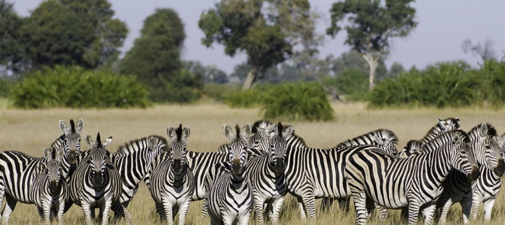 Jao Camp, Okavango Delta, Botswana Â© Dana Allen - Image 5
