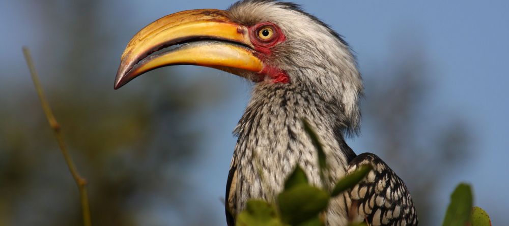 Jock Safari Lodge, Kruger National Park, South Africa - Image 8