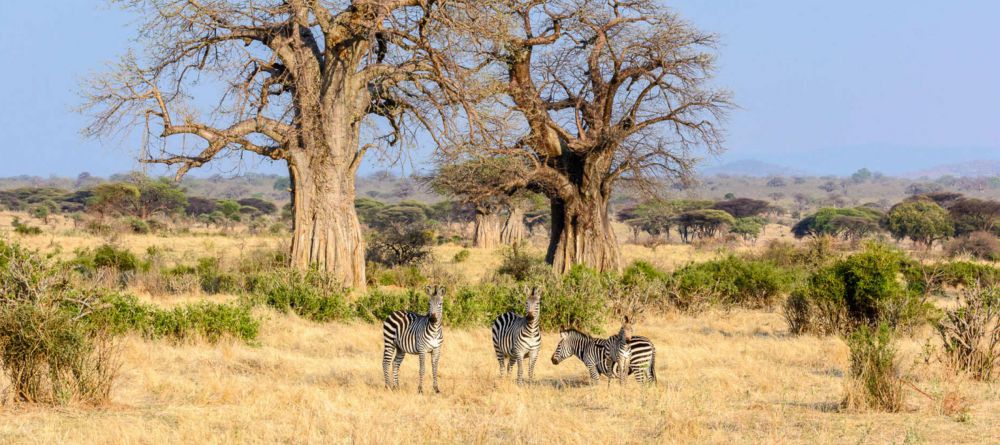 Jabali Ridge  - Image 6