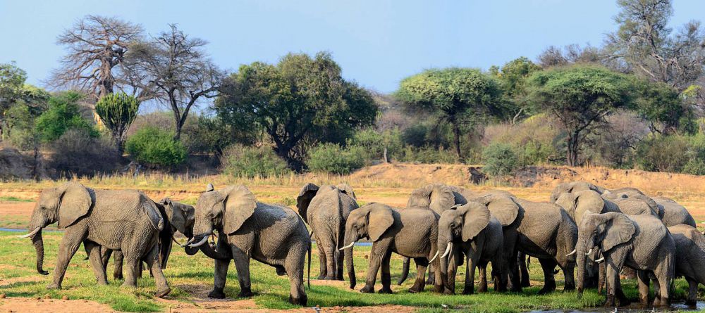 Jabali Ridge  - Image 2