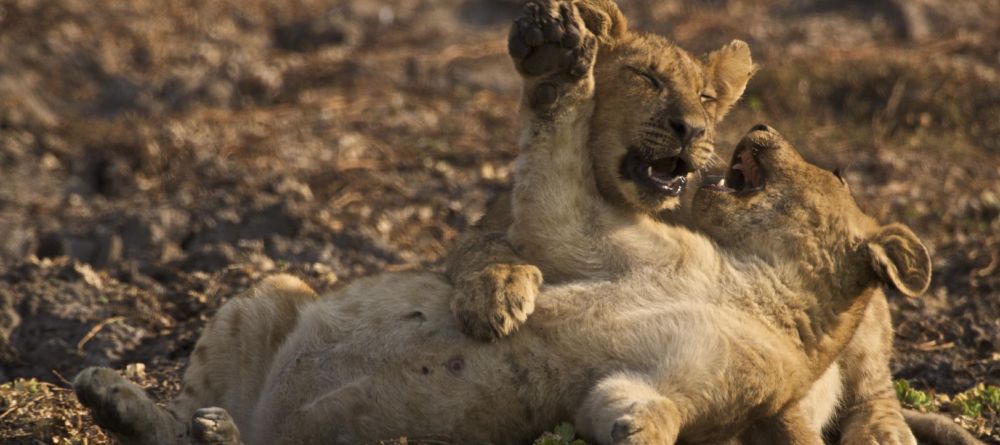Zungulila Bushcamp, South Luangwa National Park, Zambia - Image 13