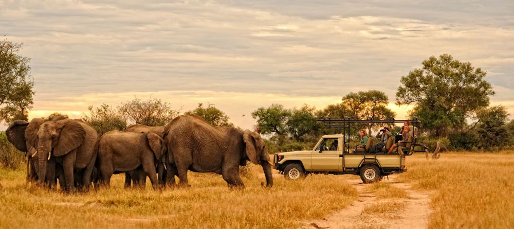 Game drive at Kanga Camp, Mana Pools National Park, Zimbabwe - Image 9